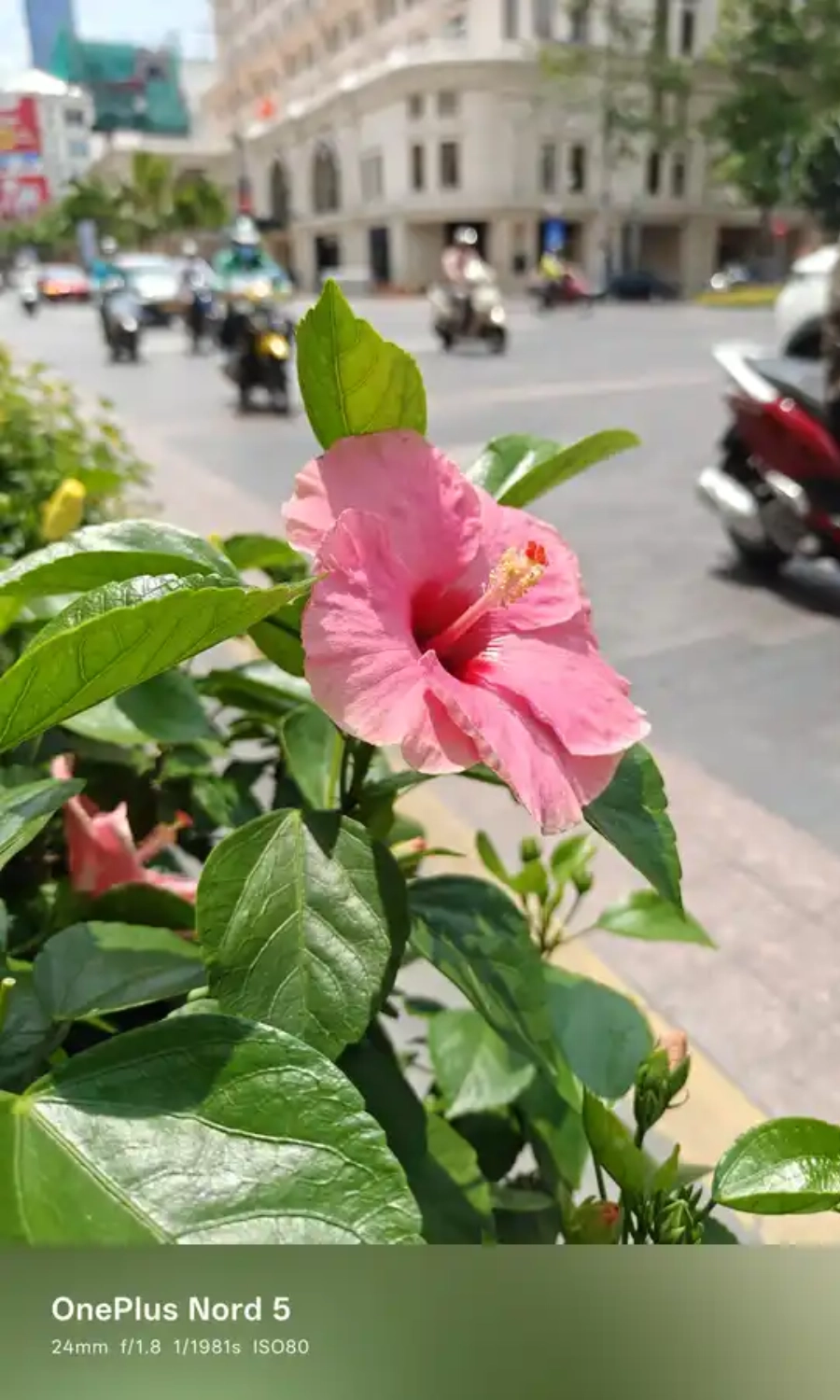 Ảnh cận cảnh