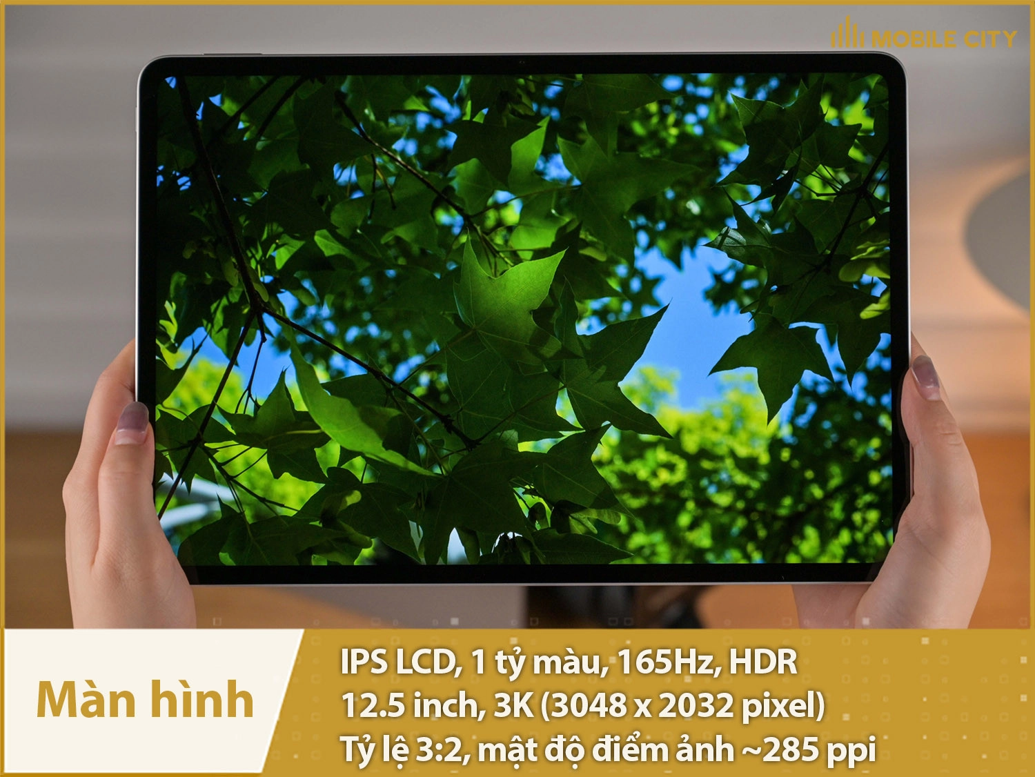 Màn hình 12,5 inch, IPS LCD 3K 165Hz
