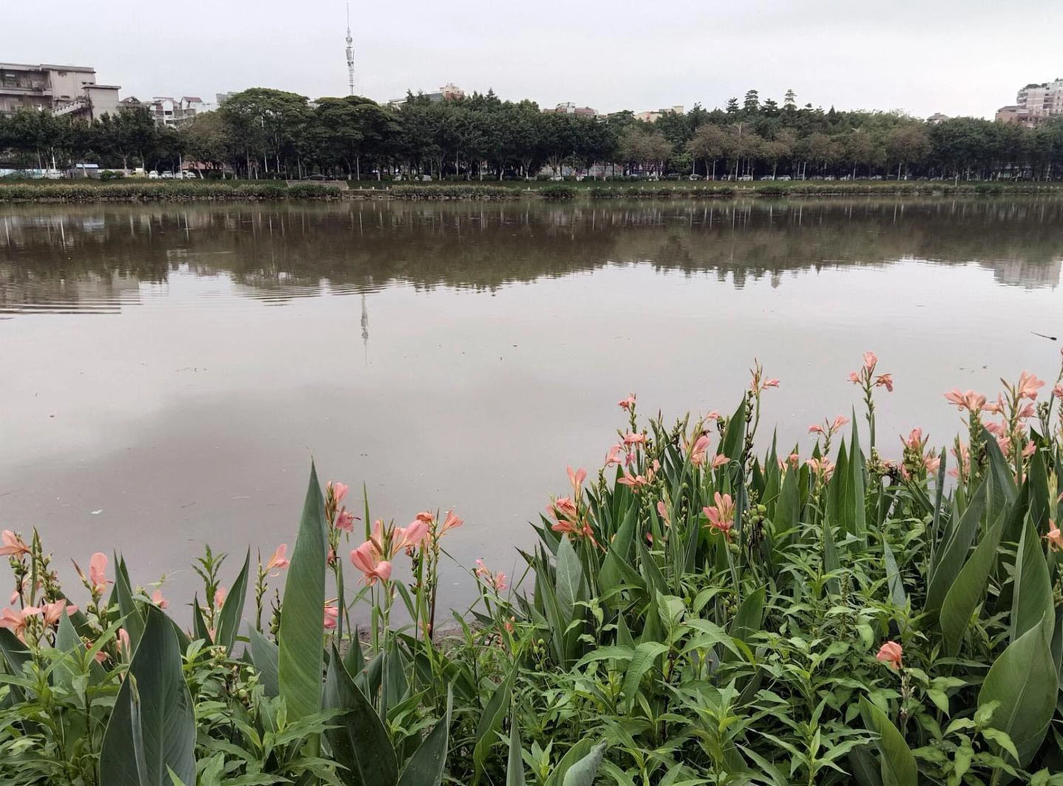  ảnh chụp bởi Honor X70 3