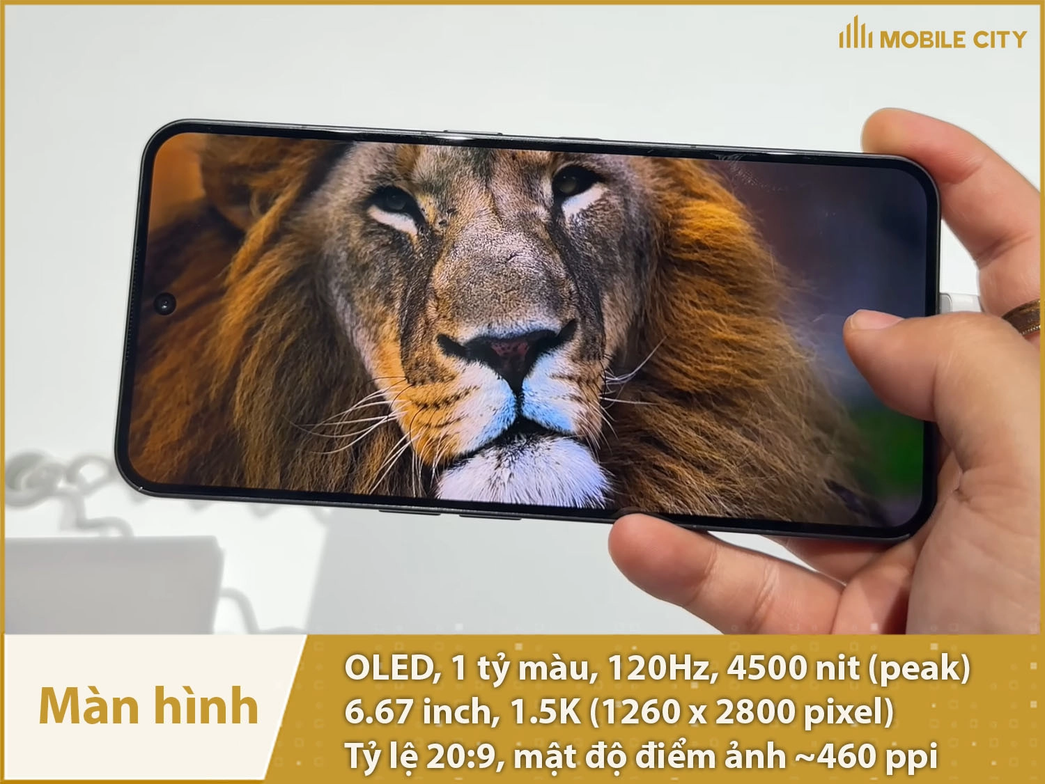 Màn hình AMOLED 120Hz, 6,67 inch 1.5K, độ sáng 4500nit
