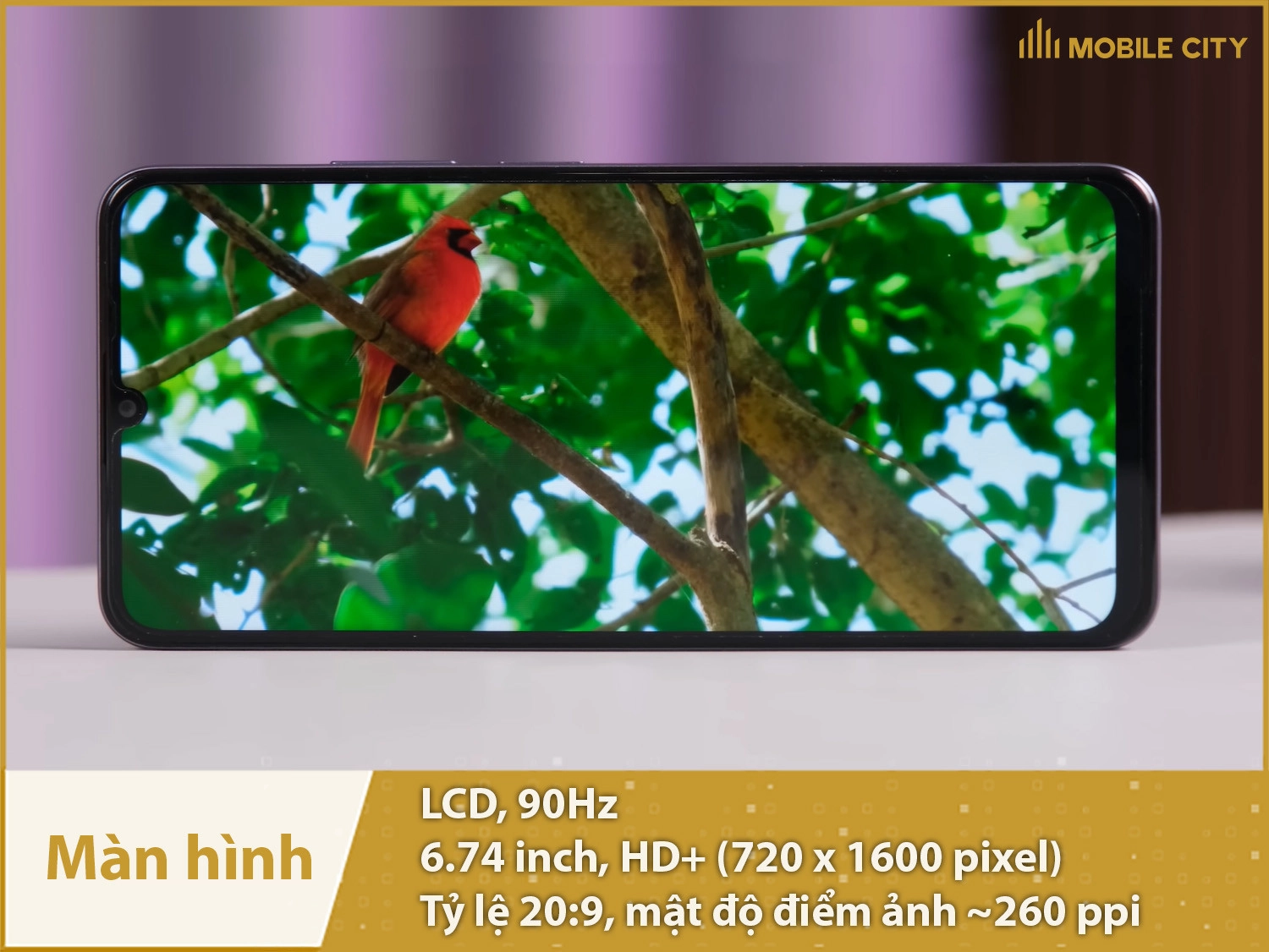 Màn hình LCD 90Hz, 7,4 inch hiển thị rộng rãi