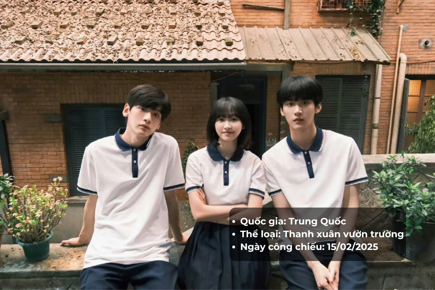 Thông tin phim Dưới Tán Cây Có Ngôi Nhà Mái Đỏ
