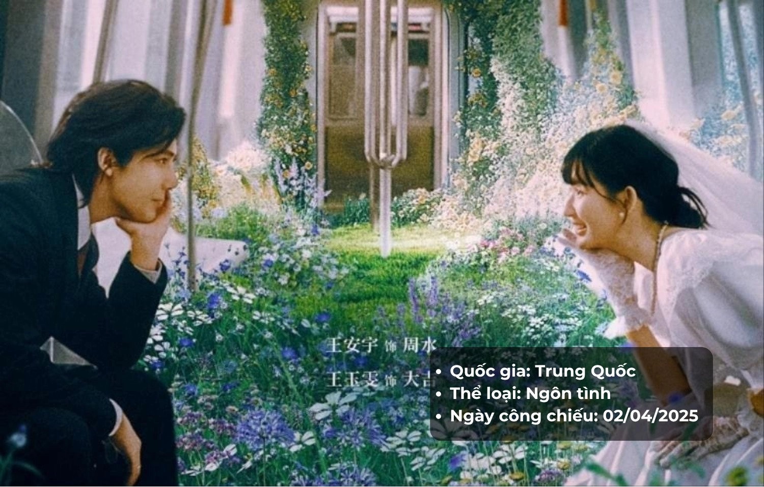 Thông tin phim Xứng Đáng Để Yêu