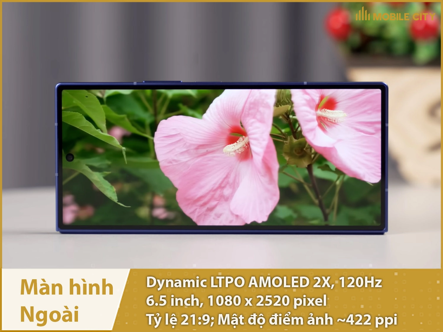 Màn hình ngoài sử dụng như điện thoại thanh truyền thống