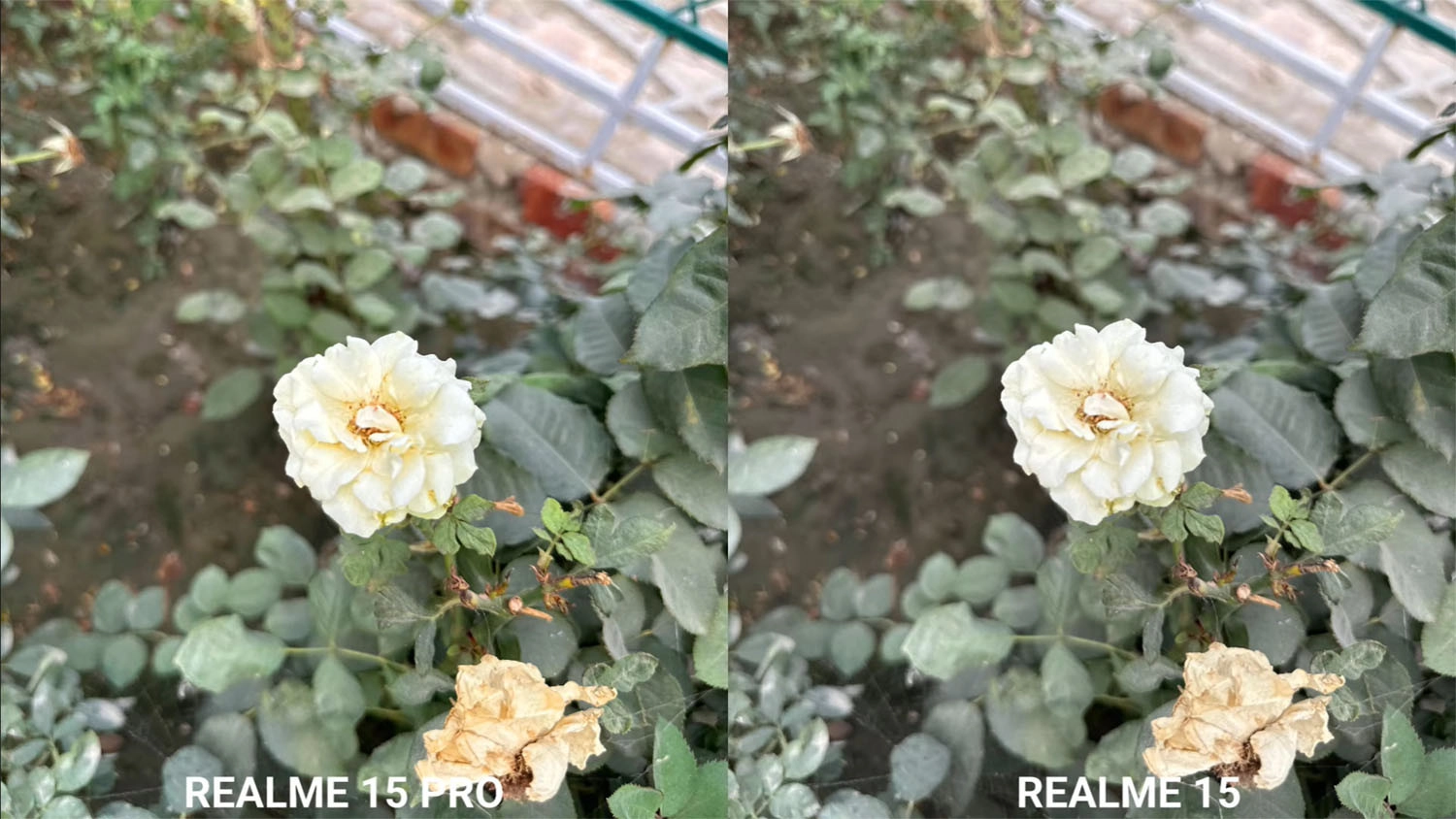 ảnh chụp bởi Realme 15 và 15 Pro 4