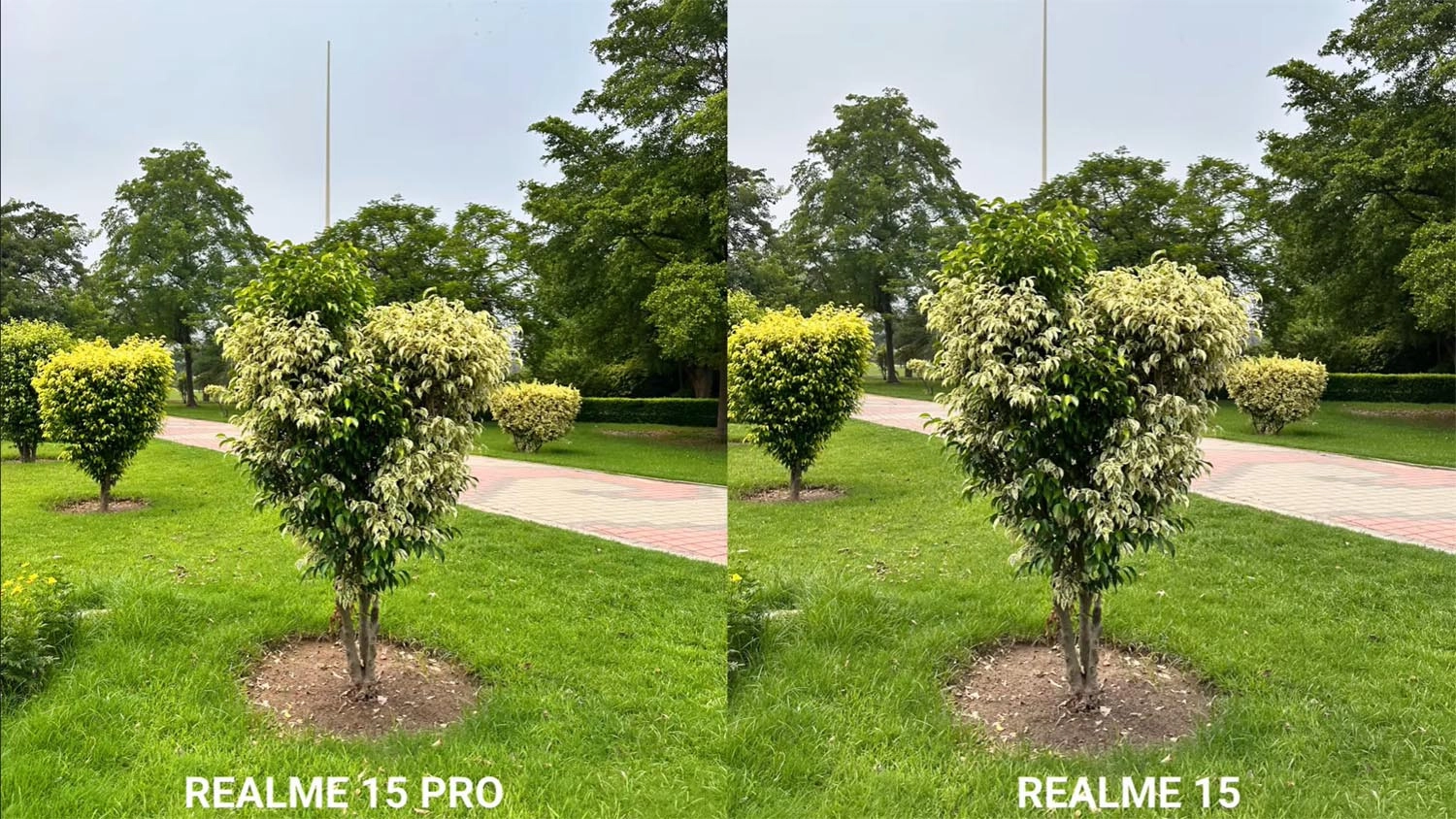 ảnh chụp bởi Realme 15 và 15 Pro 1