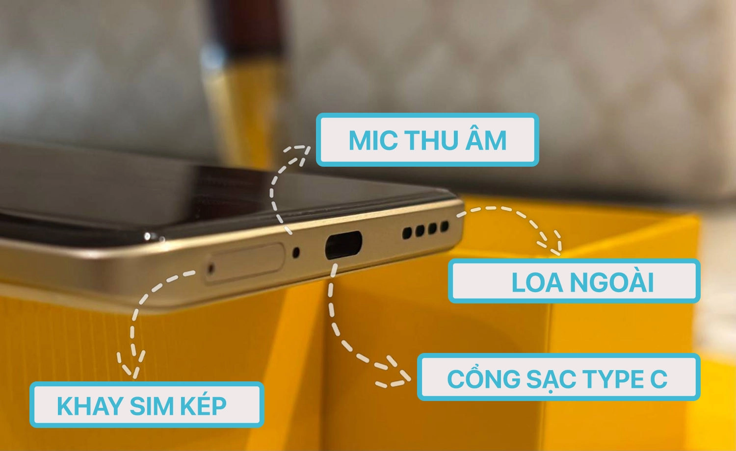 Cạnh dưới