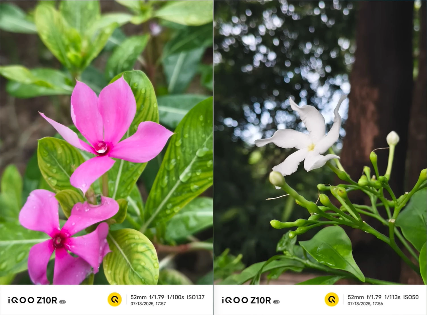 ảnh chụp bởi iQOO Z10R 3