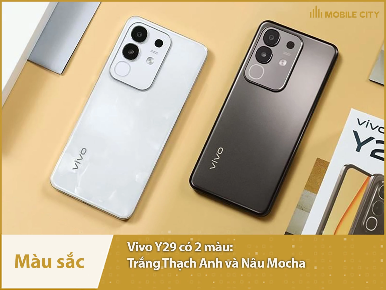 Vivo Y29 có 2 màu lựa chọn