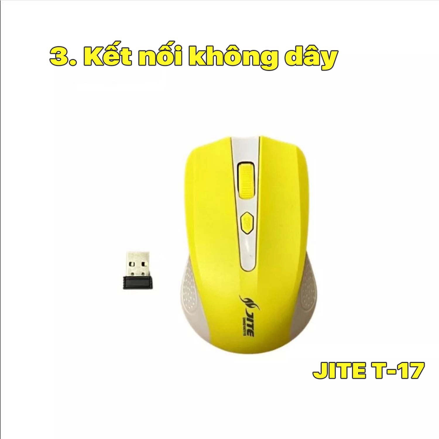 chuot-khong-day-jite-t17-3