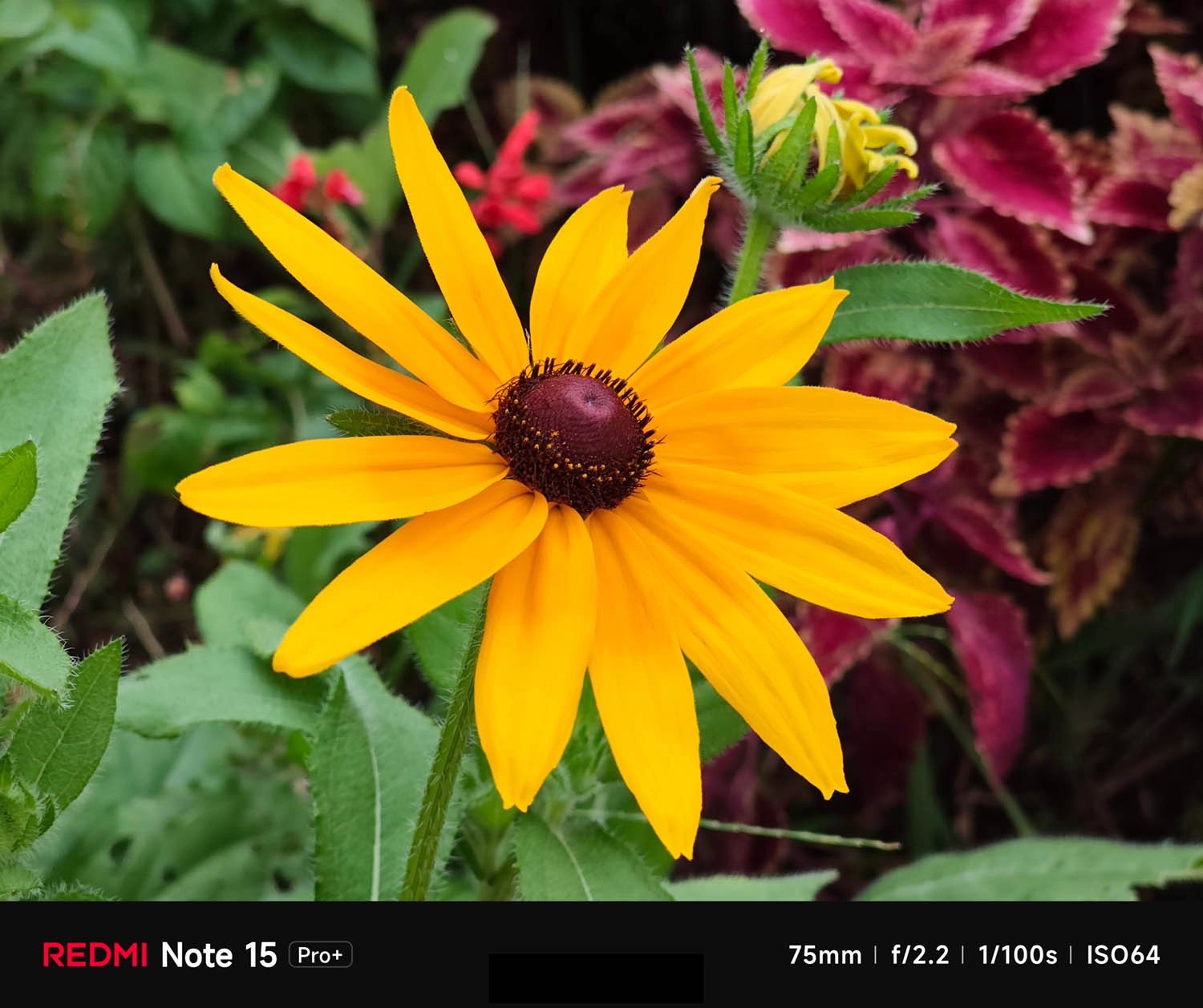  ảnh chụp bởi REDMI Note 15 Pro Plus