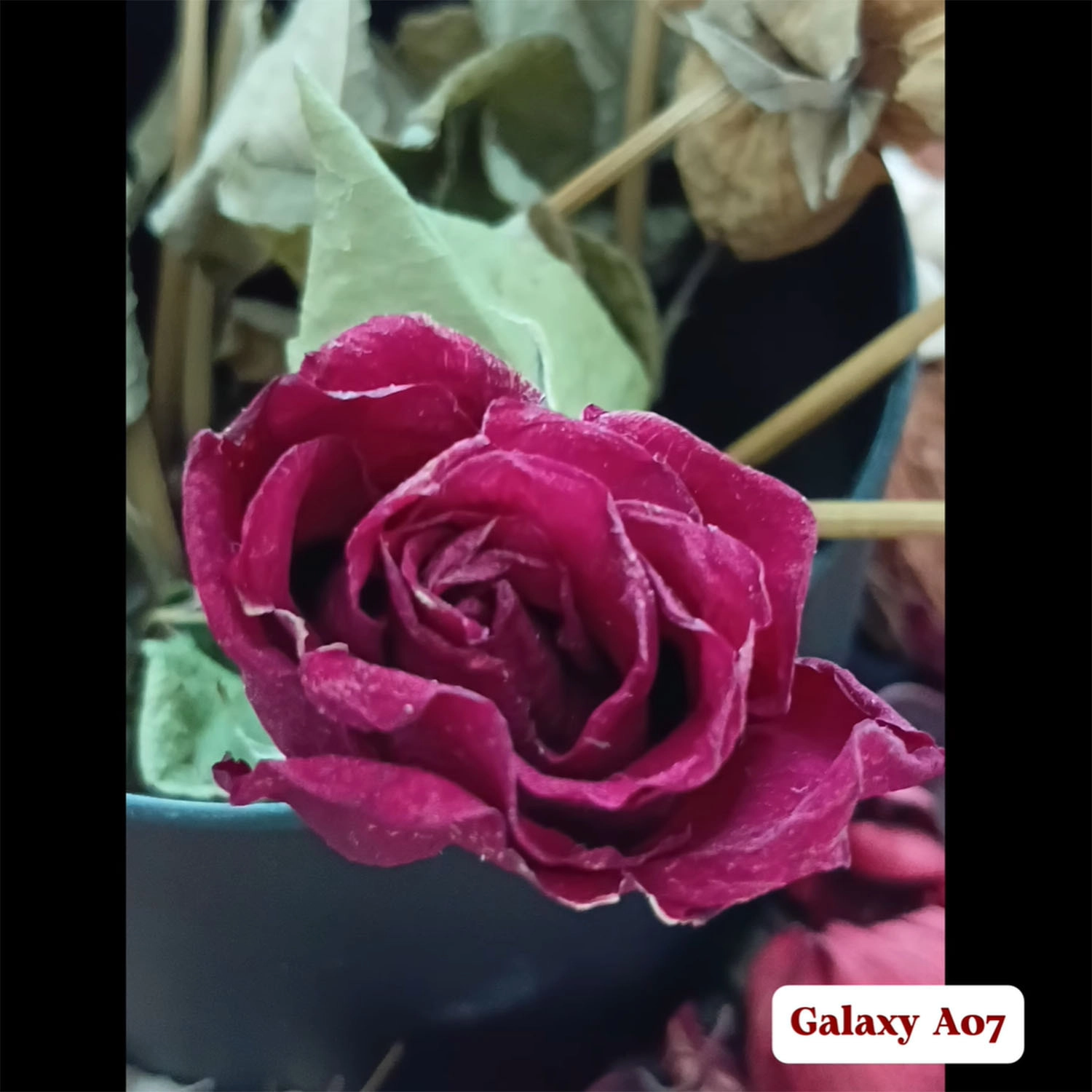 ảnh chụp bởi Galaxy A07 3