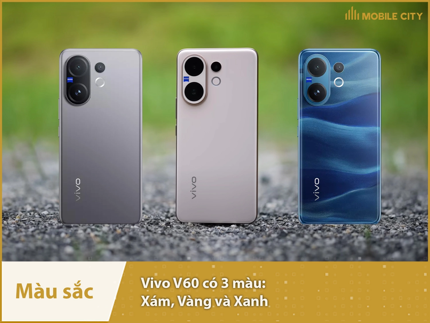 Vivo V60 có 3 màu sắc
