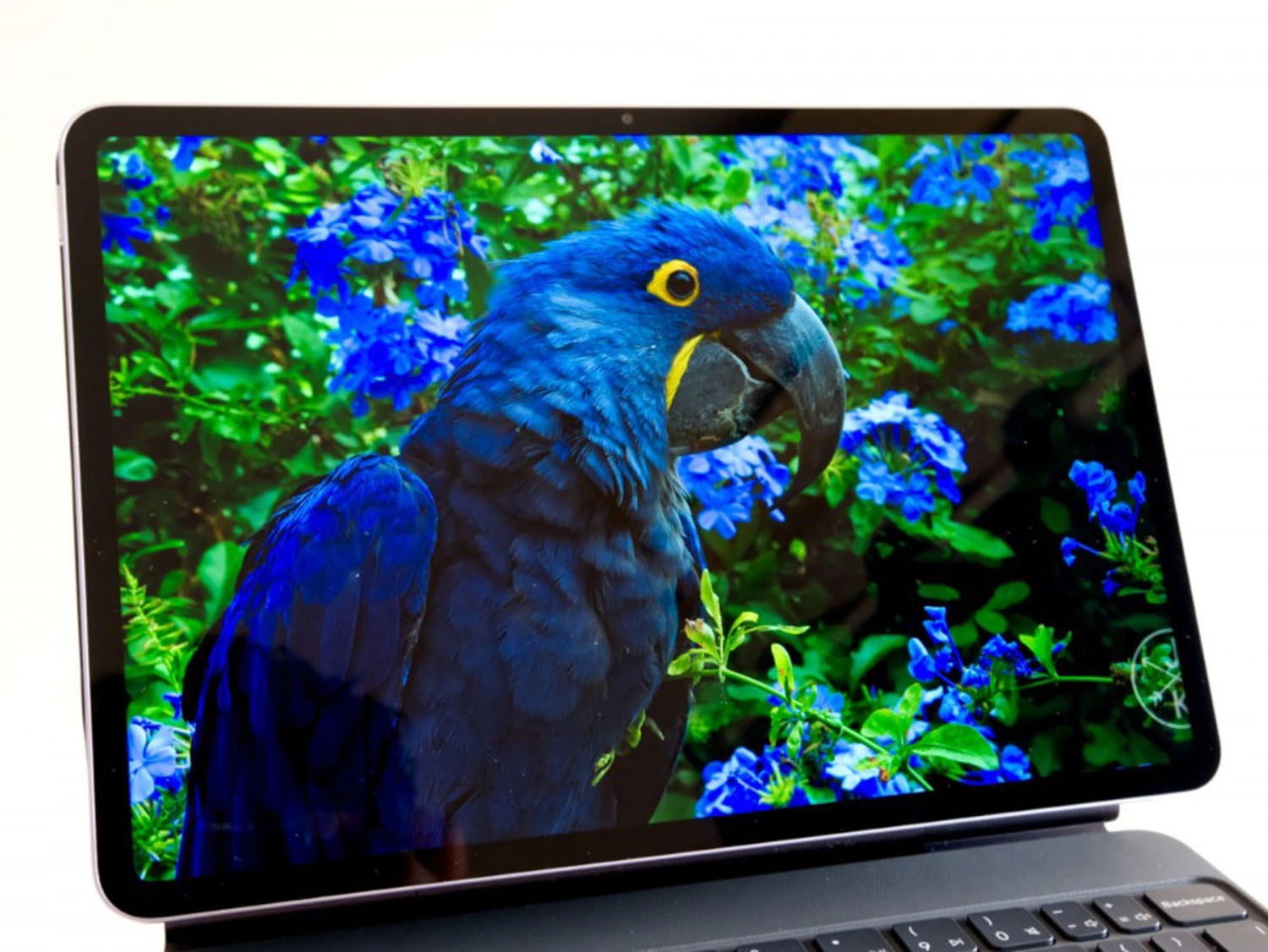 Màn hình IPS LCD 144Hz