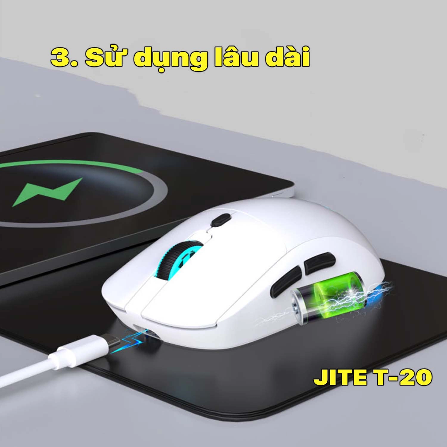 chuot-khong-day-jite-t-20-3