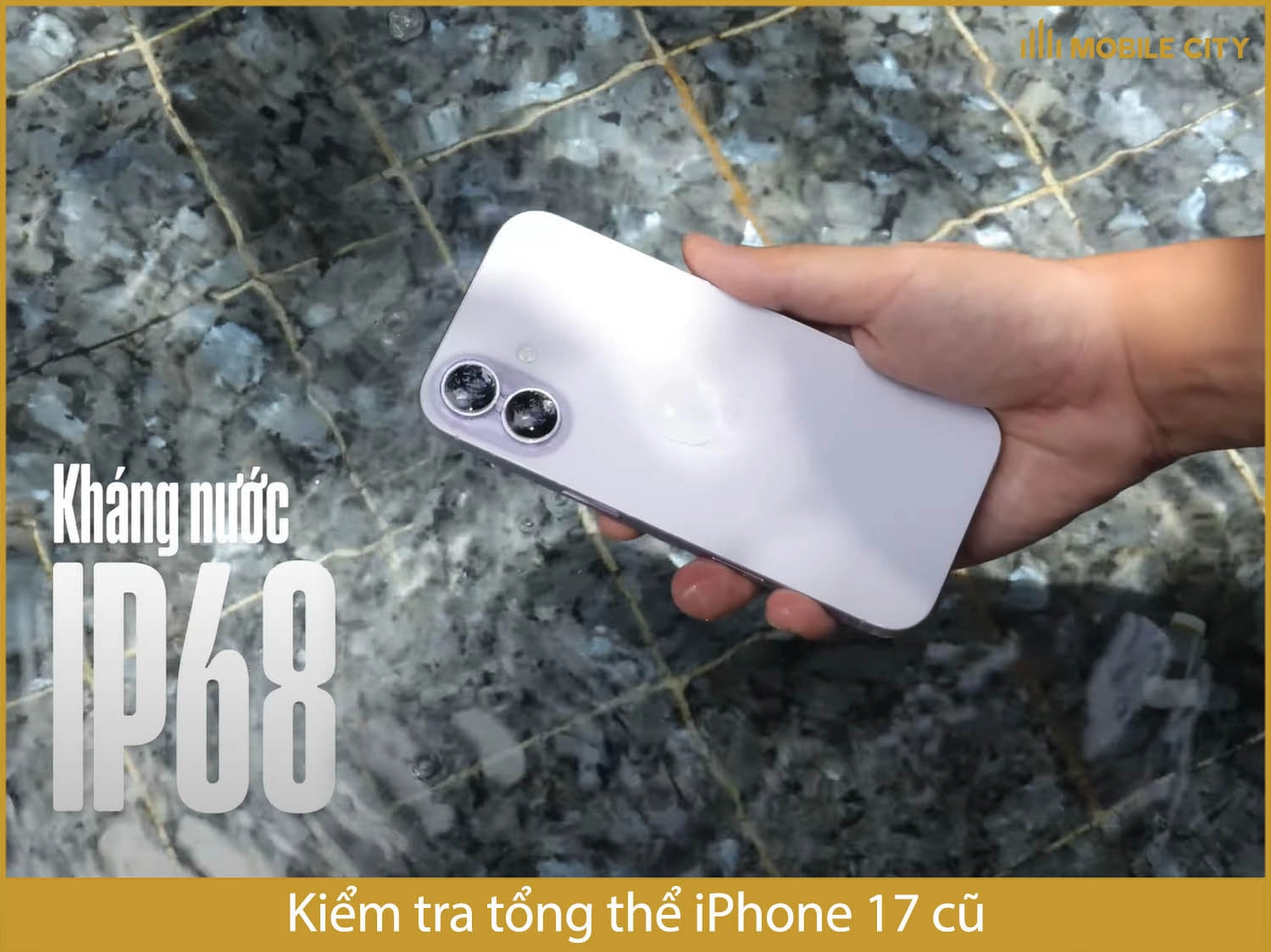 Kiểm tra tổng thể