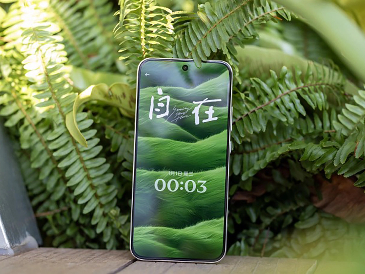Viền màn hình OPPO A6 Pro